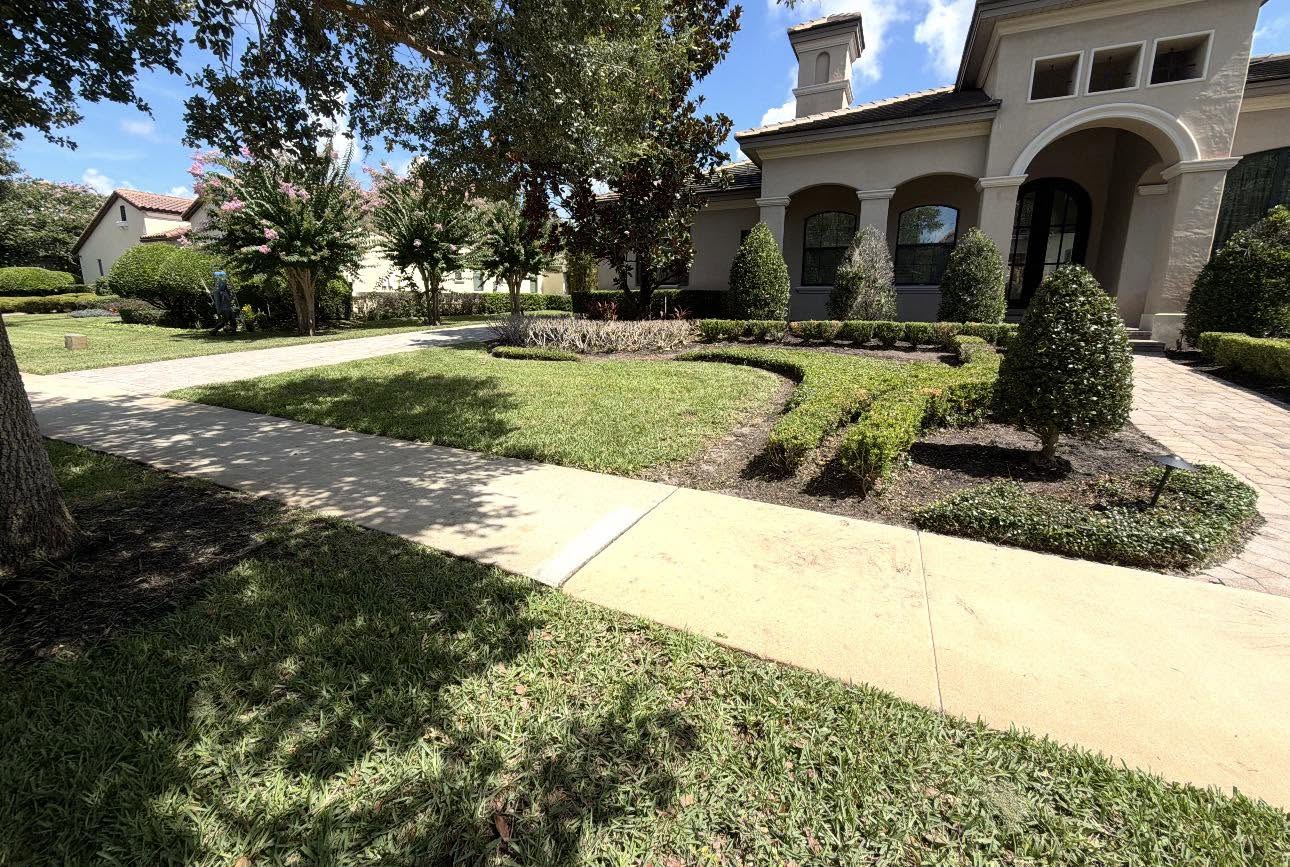 Sculpted boxwood hedges along a stone walkway at a luxury Central Florida home